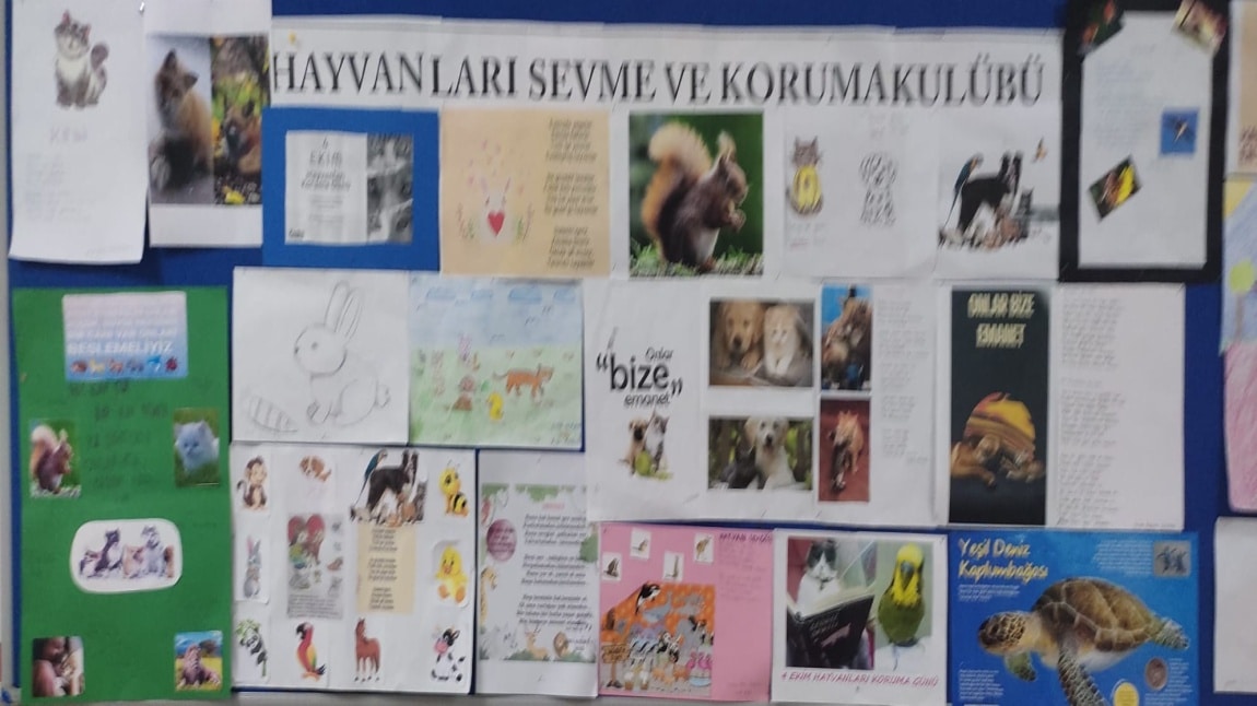 Hayvanları Sevme ve Koruma Kulübü Çalışmaları 