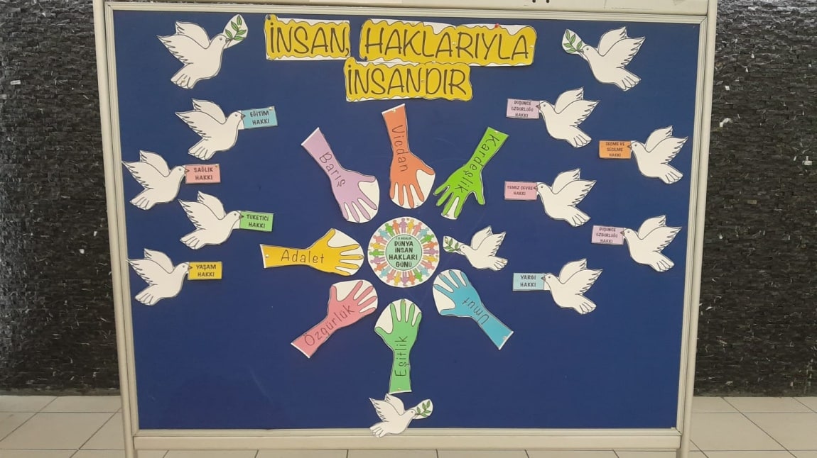 İnsan Hakları Haftası 